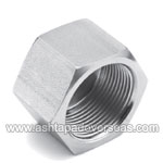 Incoloy 800 Cap Hexagon Head-Type of Incoloy 800 Forged fittings