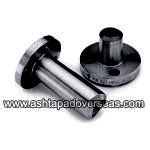 Carbon Steel Flanged Buttweld Outlets and Flanged Buttweld Nipple Outlets